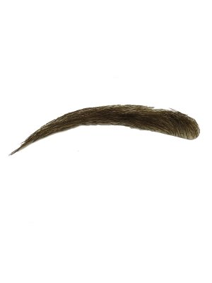 Women Eyebrow-848