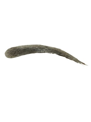 Women Eyebrow-849